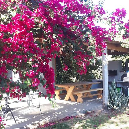 Reserva Jasmim Manga Villa Pirenopolis Ngoại thất bức ảnh